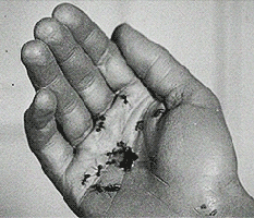 42 Un Chien Andalou (1928) – Oh, For the Love of 1001 Films!
